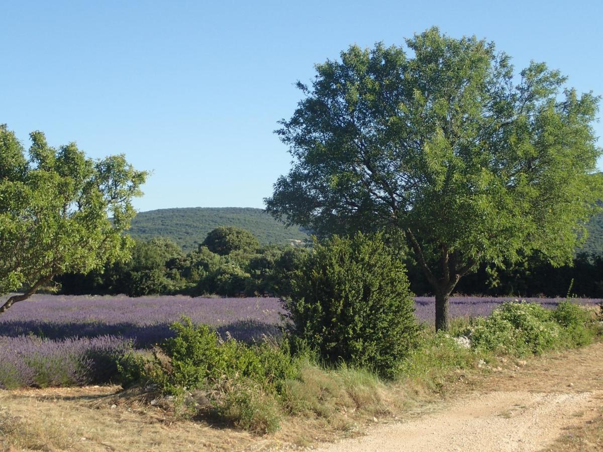 Le Rocher De Sampzon Bed & Breakfast Exterior photo