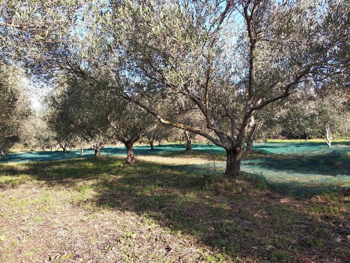 Le Rocher De Sampzon Bed & Breakfast Exterior photo